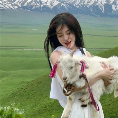 新乌龙女校2